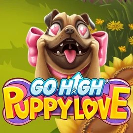 Play the Go High Puppy Love slot by RubyPlay on Shuffle Casino
