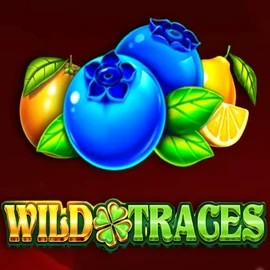 Enjoy Wild Traces by Amusnet Interactive – logo hosted on shuffle-kaszino.com